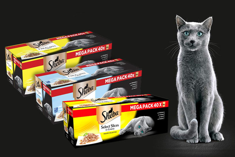 From £34.98 instead of £48.36 (from Trojan Electronics) for a 125x85g mega pack of Select Slices Sheba poultry pouches in gravy - save up to 28%