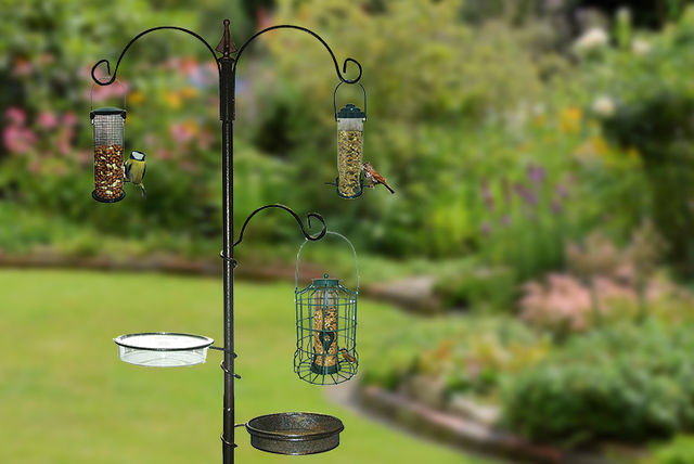 Kingfisher Bird Feeding Station Storage Solutions Deals In Shop