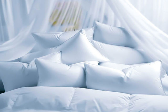 10 Non Allergenic Pillows Shopping Livingsocial
