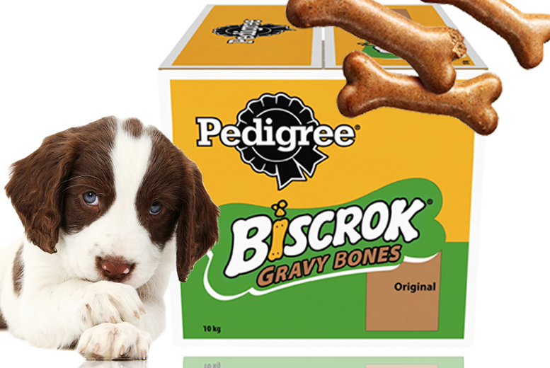 pedigree gravy bones 10kg