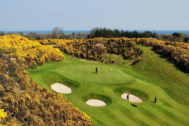 €79 instead of €159 for 18 holes of golf, range balls, a goody bag and lunch for two people, or €149 for four people at Druids Heath Golf Course - treat Dad and save up to 50%