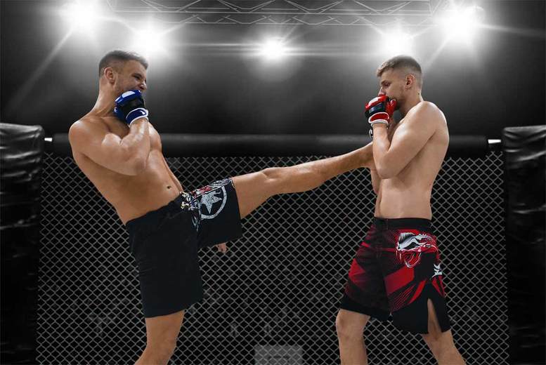 €219pp (from World Choice Sports) for Hamburg UFC tickets and a two-night 4* hotel stay – save up to 22%