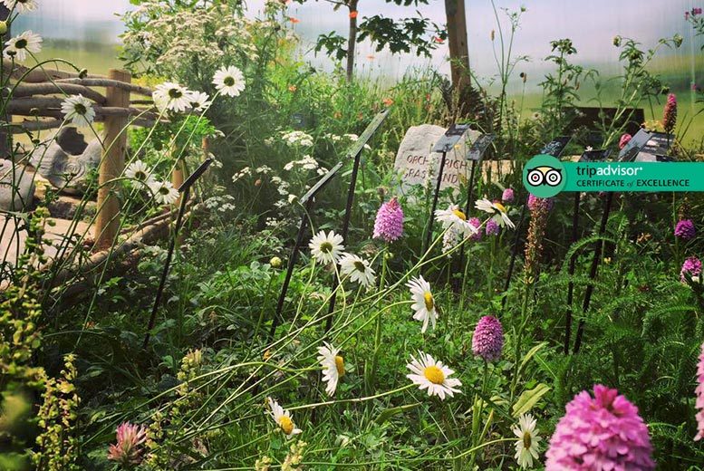 €5 instead of €10 for entry for two people to Burren Nature Sanctuary - save 50%